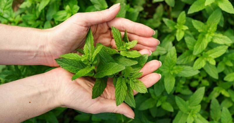 freepik/ArthurHidden